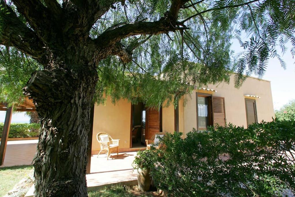 Villa Levante Vista Mare Cornino Custonaci Exterior foto